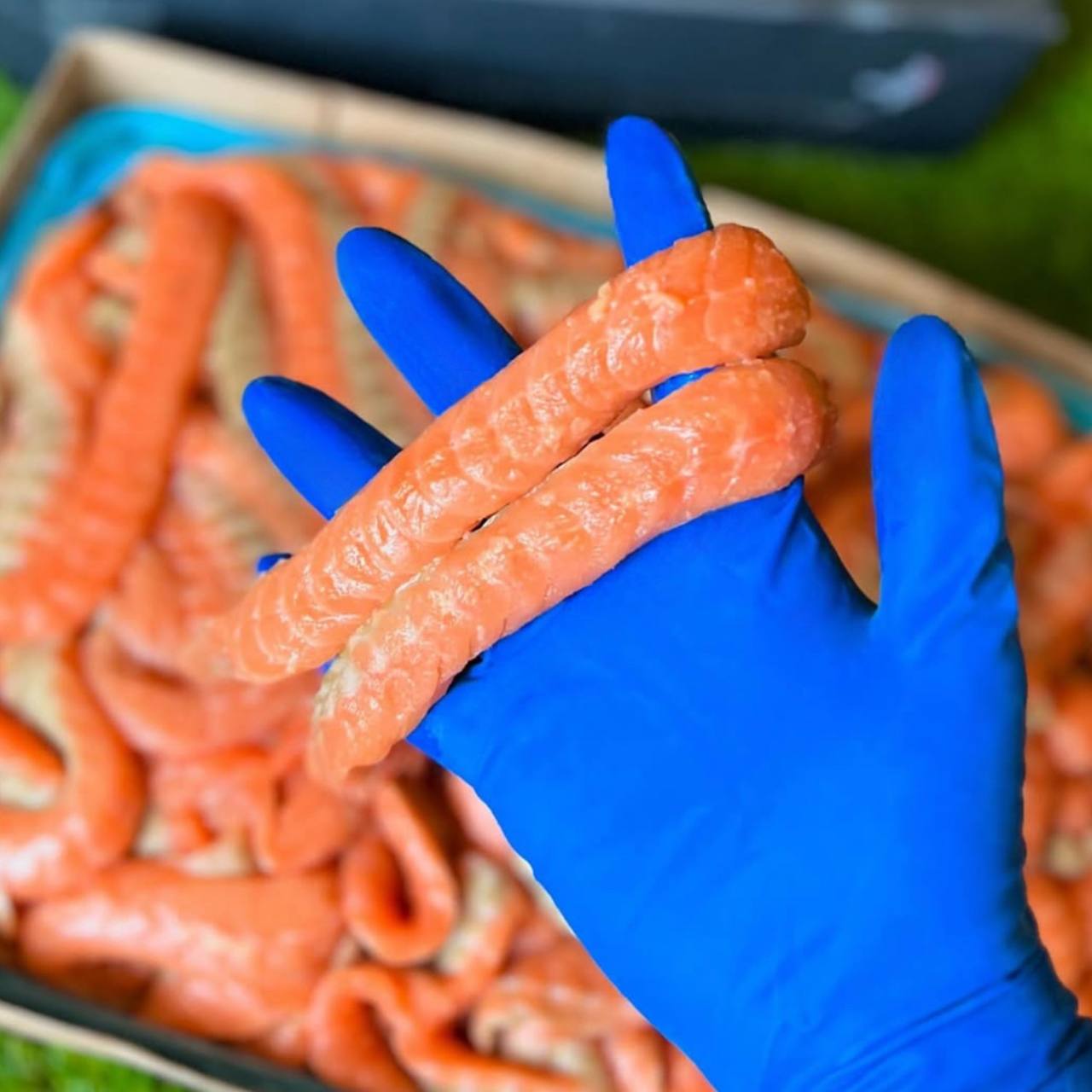 Спинки Семги